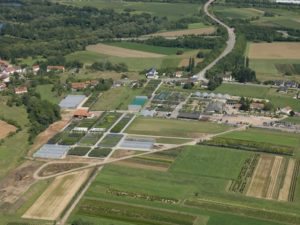 Leick Baumschulen Luftaufnahme