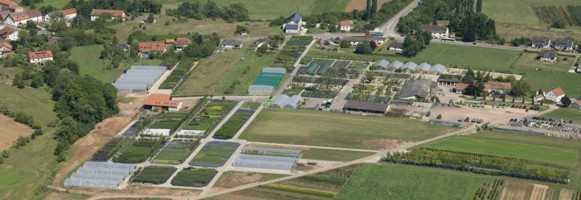 Leick Baumschulen